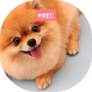 헬로코코 녹화영상01